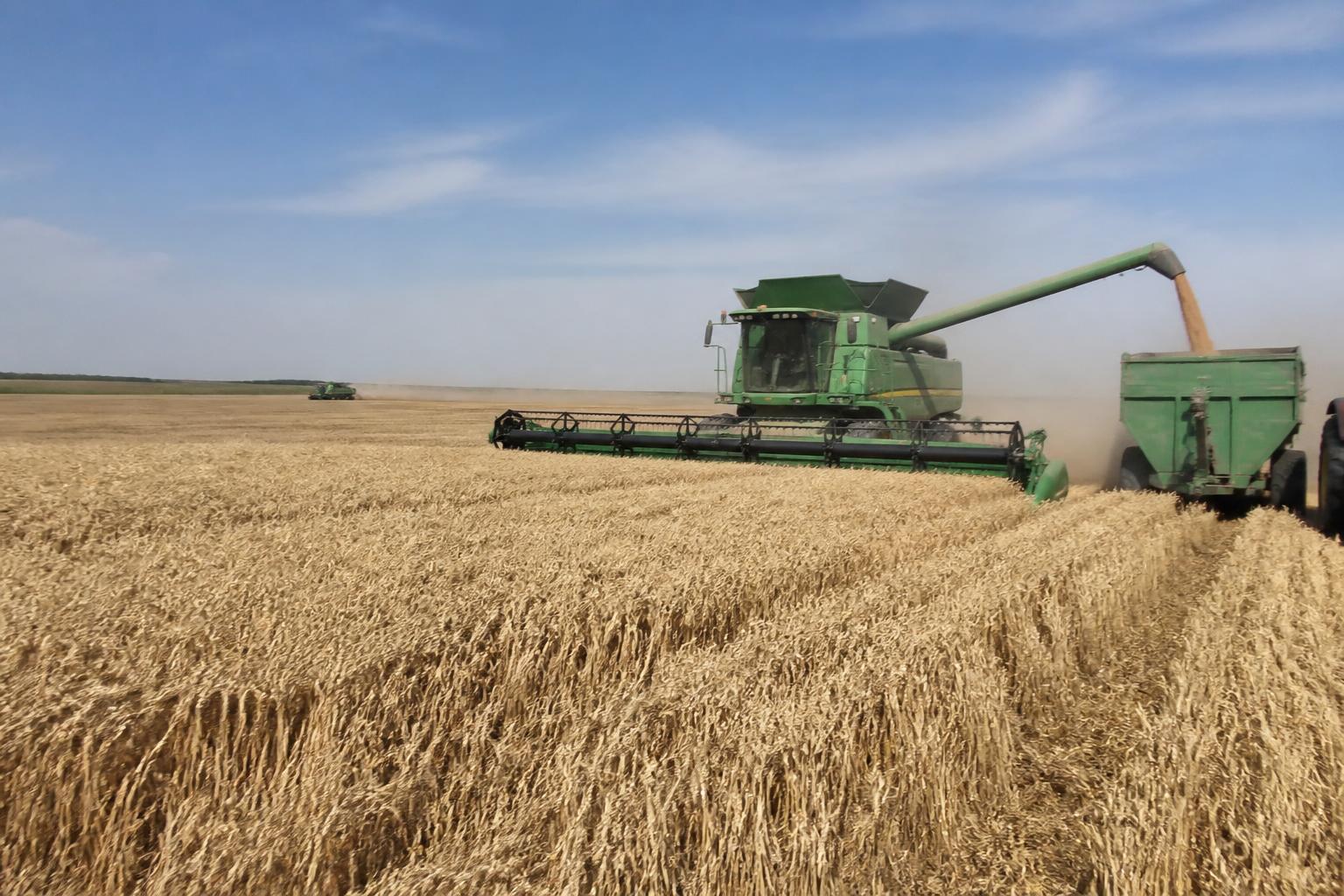Colorado Harvest Update: Winter Wheat Progress and Market Context - AgroPost
