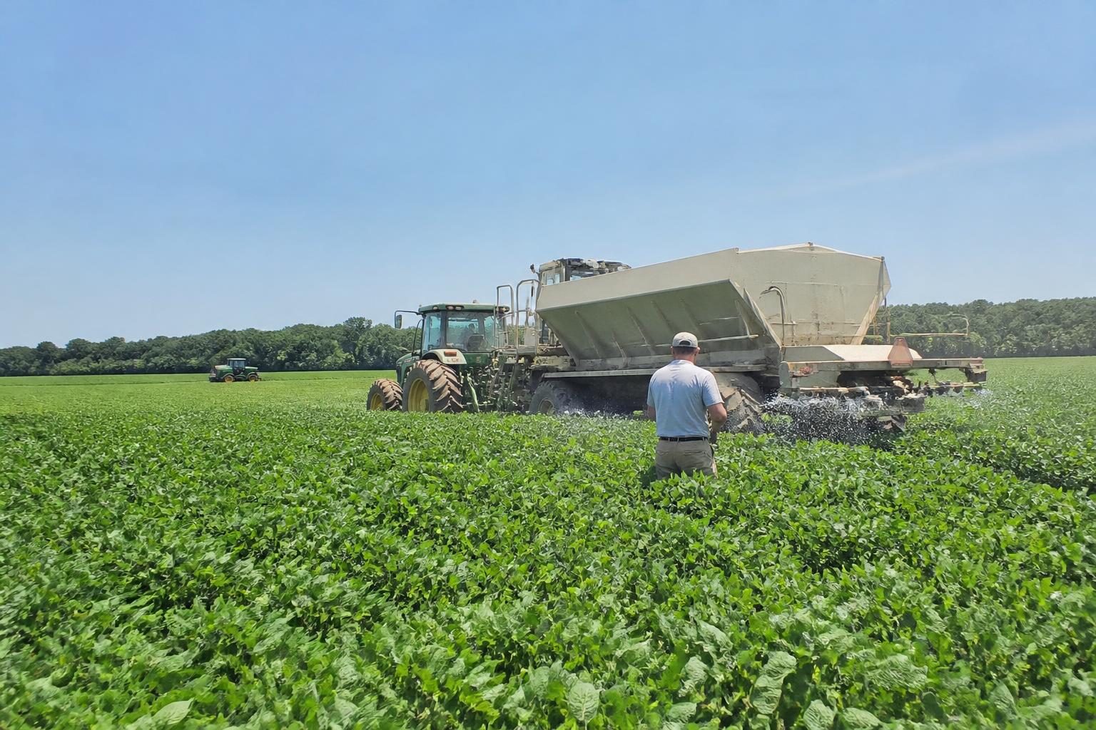 Arkansas Input Strategy: Hedging Against Fertilizer Market Volatility - AgroPost