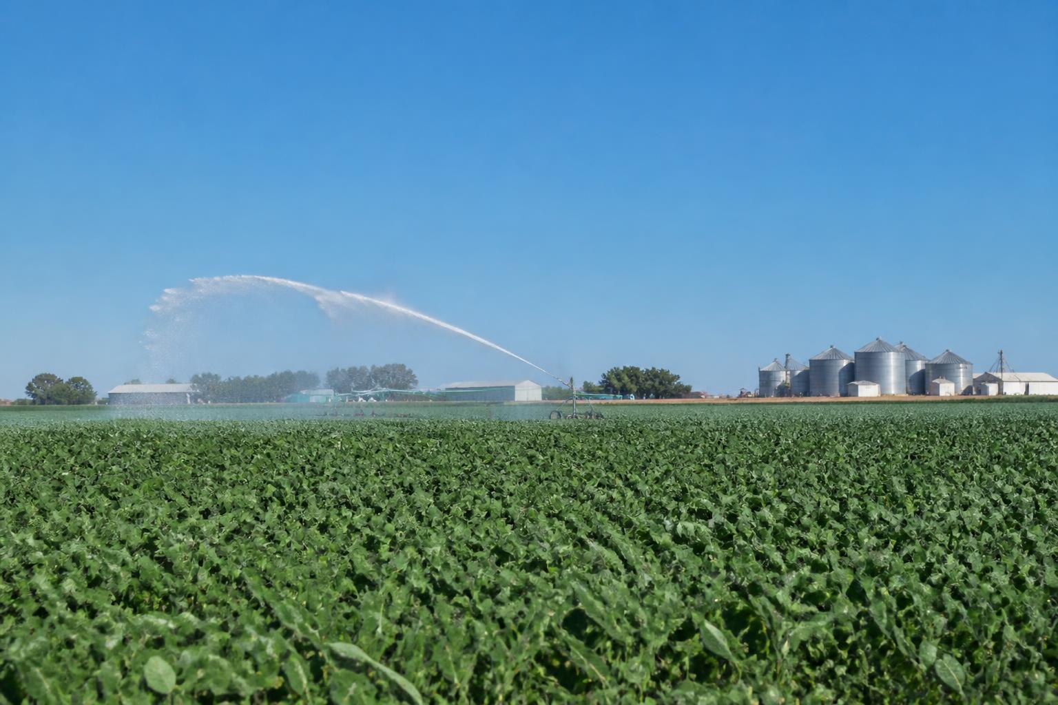 Optimizing Crop Protection and Resource Management in South Dakota's Summer Season - AgroPost