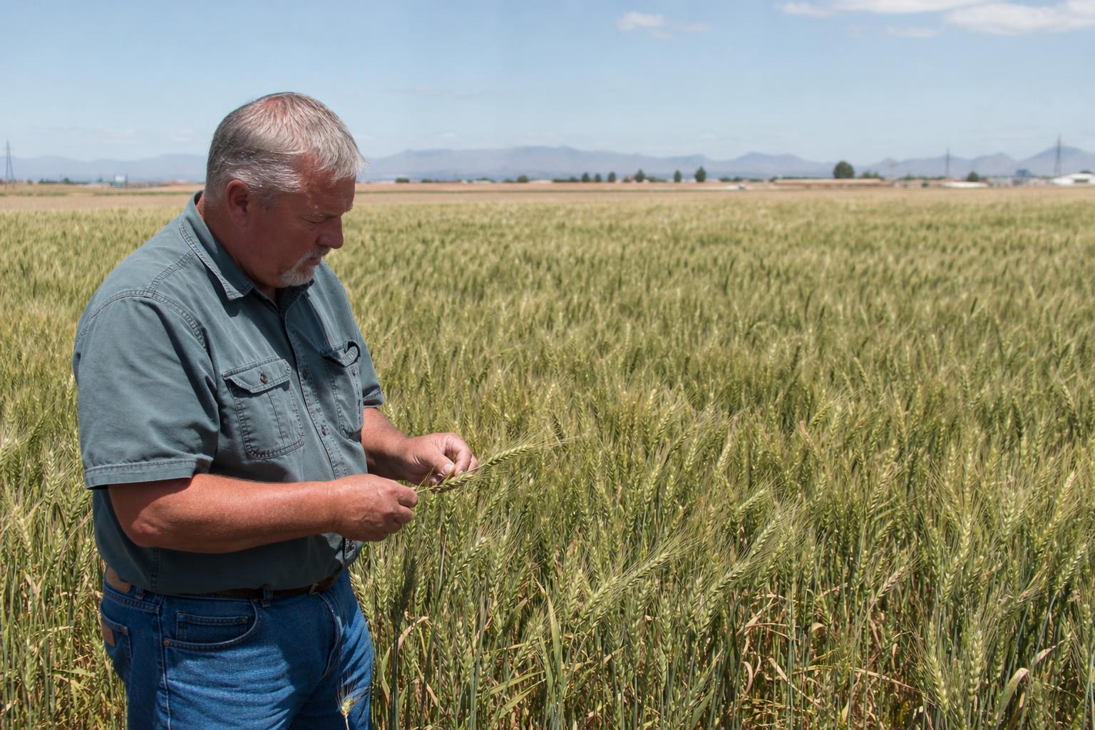 Arizona Agriculture: Adapting to Climate Challenges and Opportunities - AgroPost