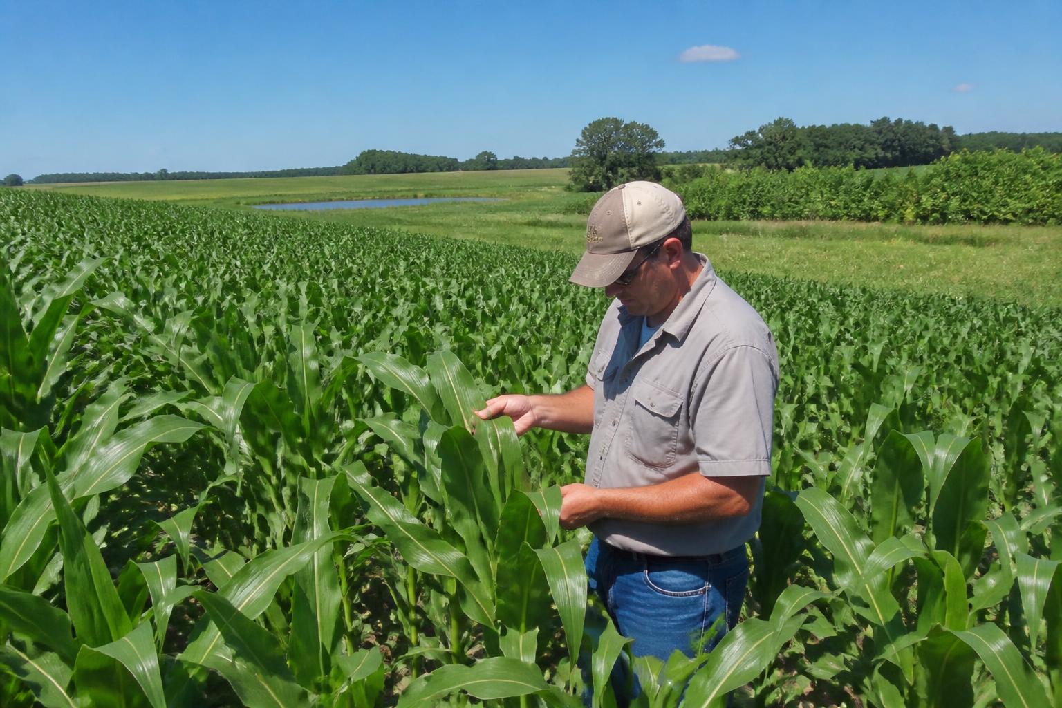 Illinois Field Watch: Monitoring Emerging Crop Protection Risks - AgroPost