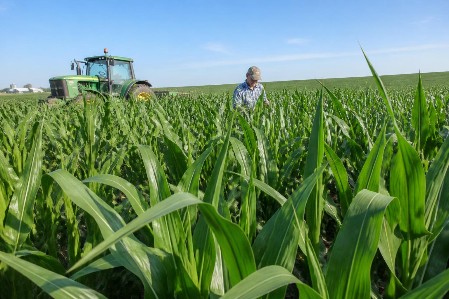 Texas Fertilizer Outlook: Domestic Expansion and Policy Shifts in Focus - AgroPost