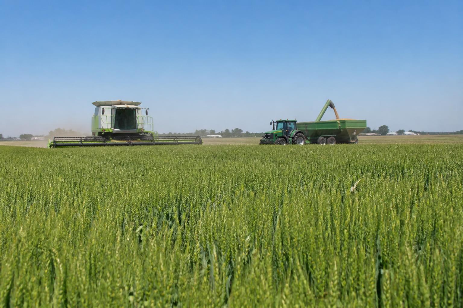 Oklahoma Harvest and Logistics Update: Mid-Summer Market Realities - AgroPost