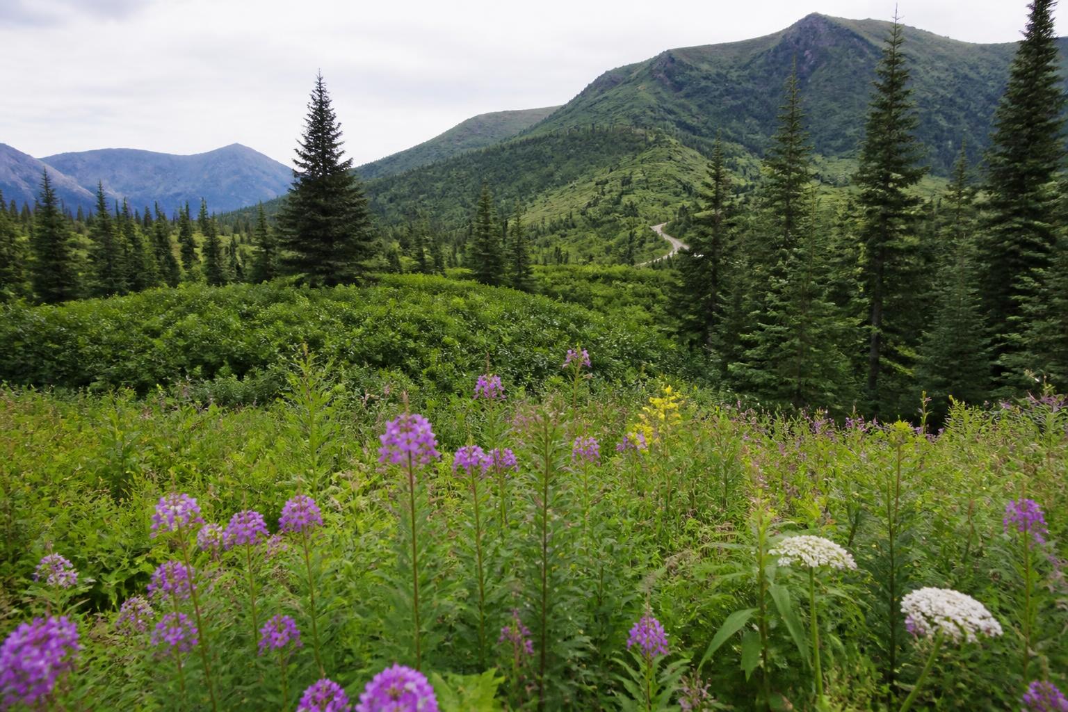 Expanded Cargo Capacity Signals Logistics Boost for Alaska Agribusiness - AgroPost