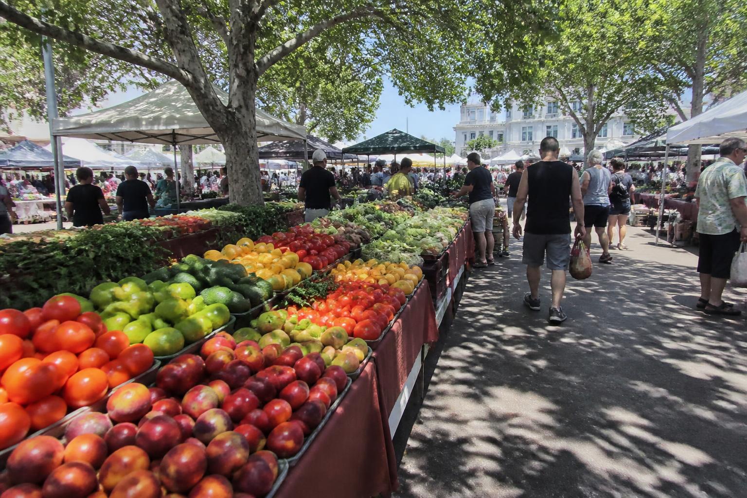 California Field Crops: Navigating Seasonal Shifts and Trade Outlooks - AgroPost
