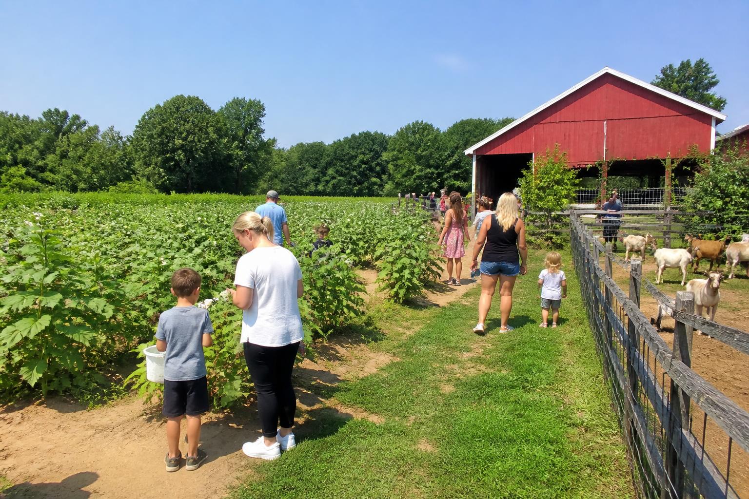 Virginia Farm Real Estate Values Reach New Peaks Amid Market Volatility - AgroPost