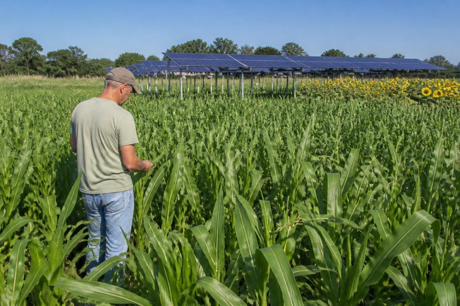 Delaware Crop Protection Strategy: Navigating Regional Pressures and R&D Shifts