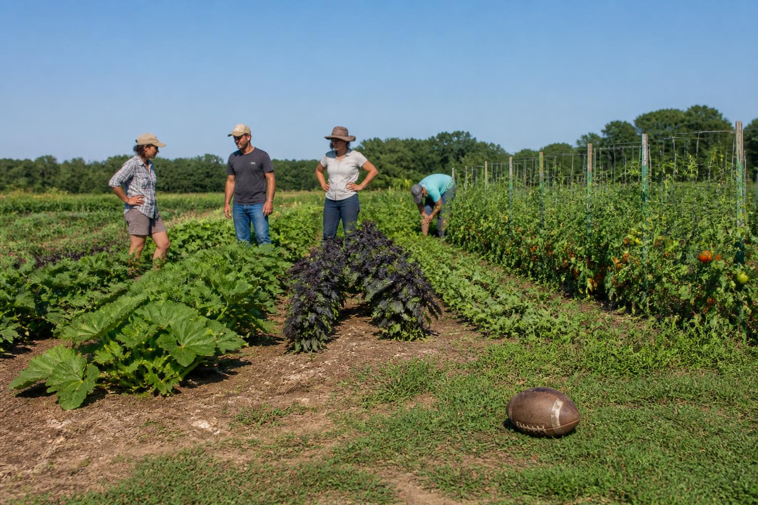 Florida Specialty Crop Producers Face Rising Costs and Limited Risk Management - AgroPost