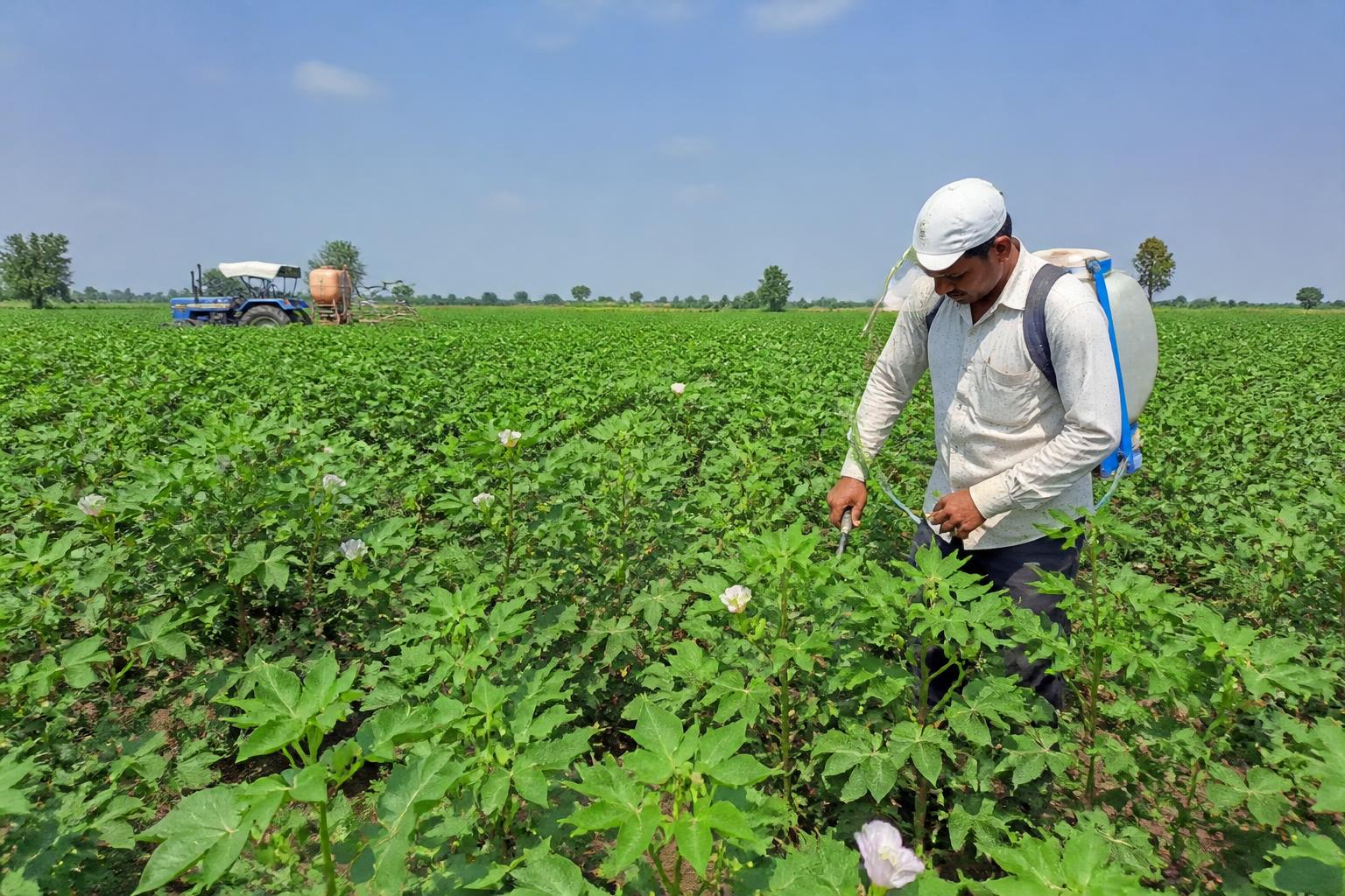 Arizona Ag Logistics: Managing Heat and Market Headwinds - AgroPost