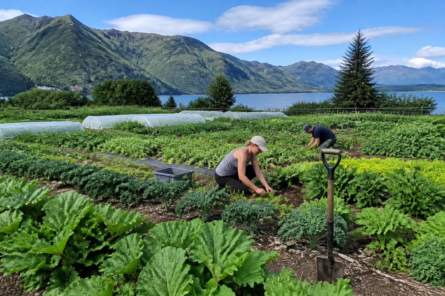 Optimizing Crop Protection Strategies for Alaska's Summer Growth Cycle - AgroPost