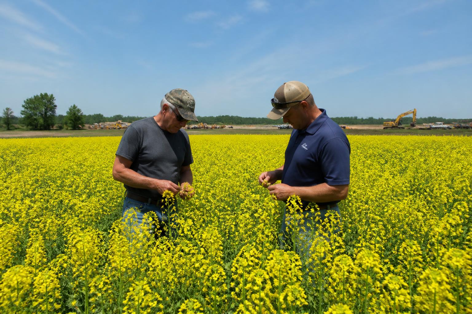 Tennessee Crop Markets: Strategic Growth and Logistics in a Changing Season - AgroPost