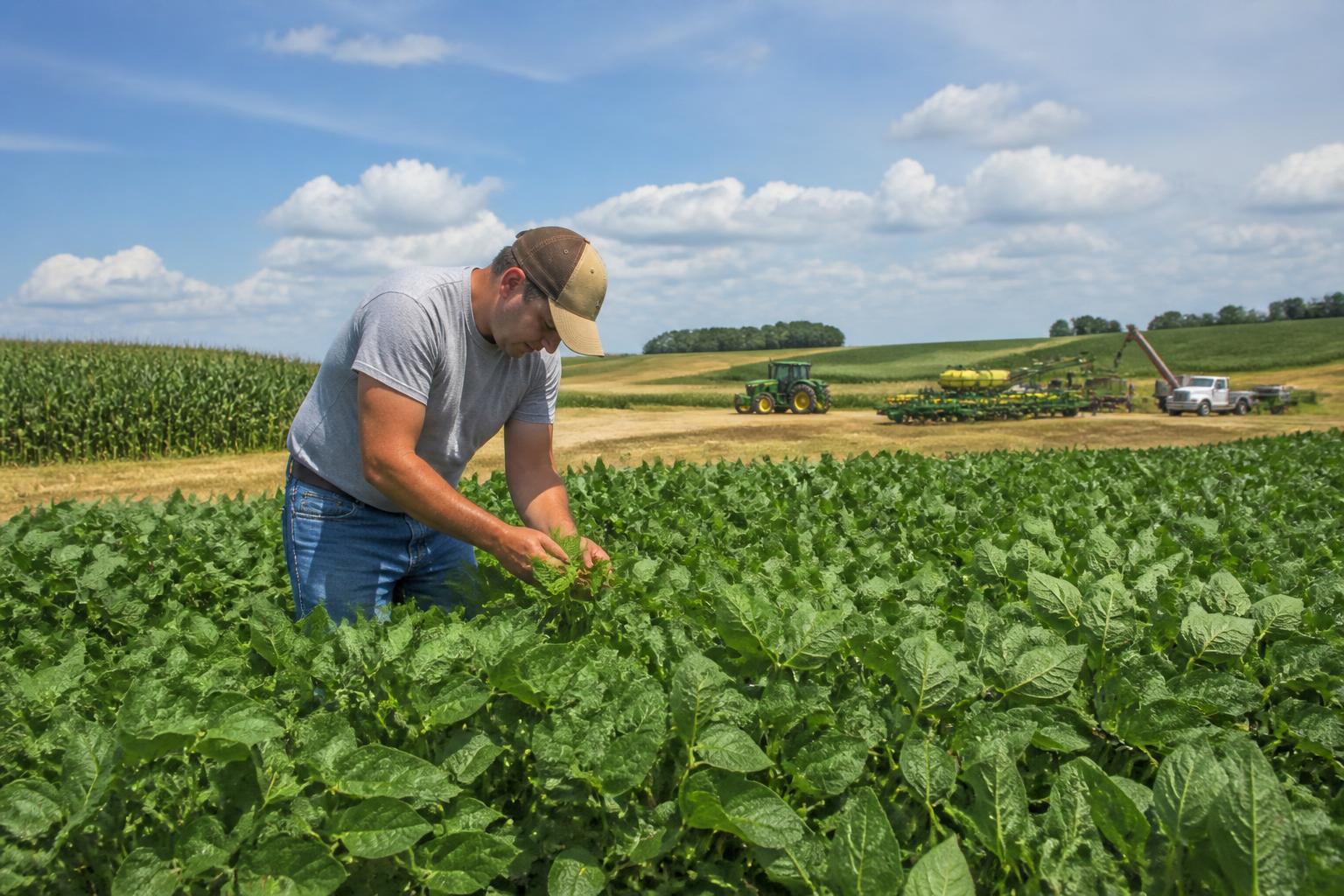 Delaware Fertilizer Market Update: Navigating Global Supply Shifts - AgroPost