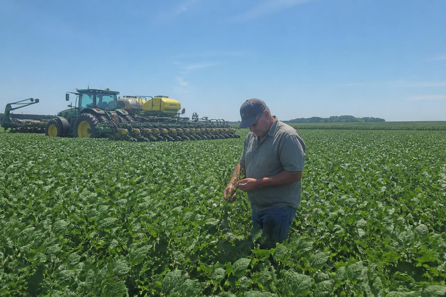 Louisiana Fertilizer Market Update: Navigating Supply Shifts and Regional Logistics - AgroPost