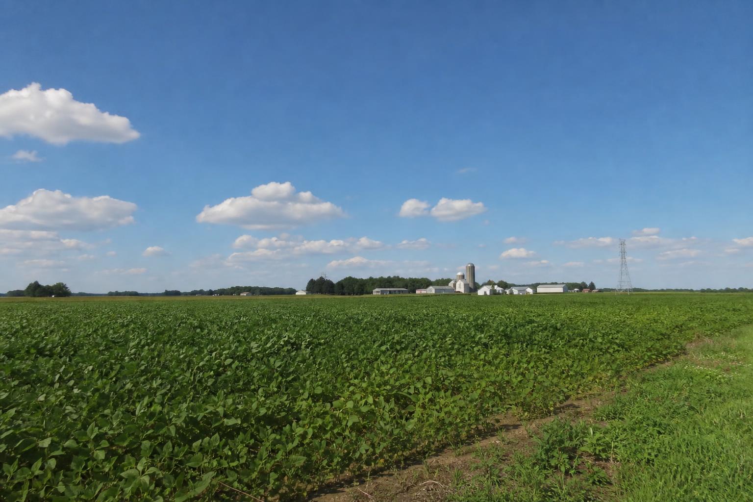 Indiana's Farmland Market: A Hot Spot Amidst Changing Dynamics