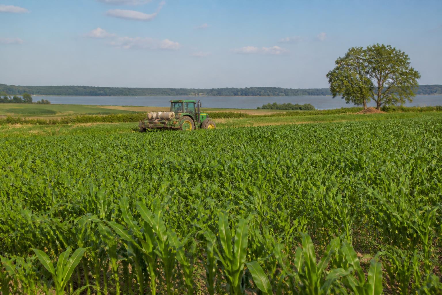 Maryland Ag Logistics and Input Strategies: A Mid-Summer Outlook - AgroPost
