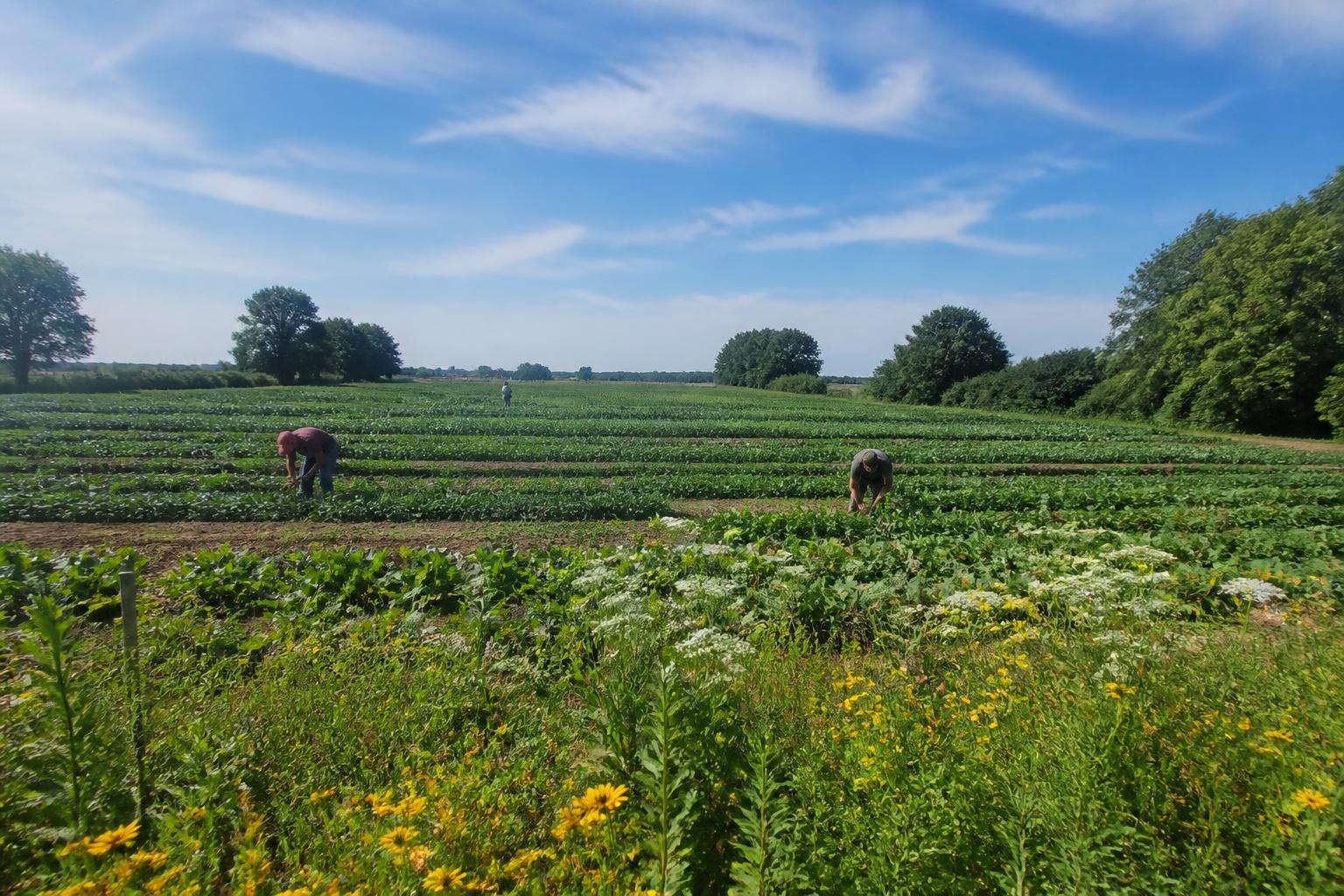 Navigating Biosecurity and Transport Hurdles in West Virginia Agriculture - AgroPost
