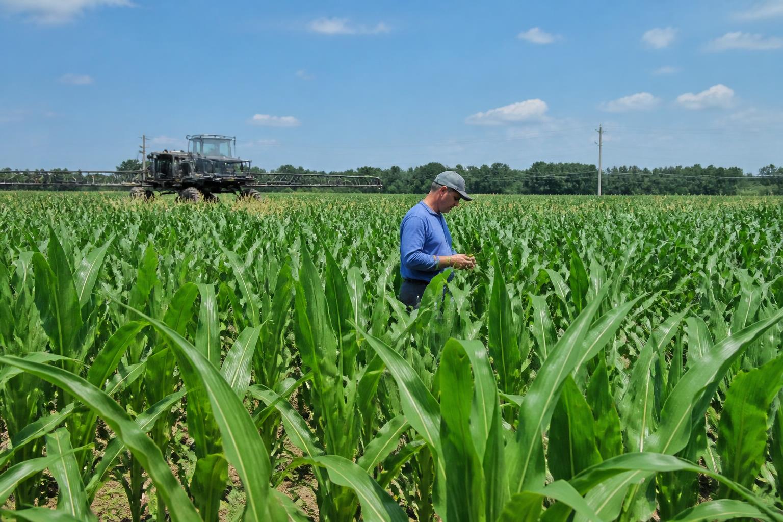 Managing Ohio's Grain Infrastructure Amid Evolving Logistics - AgroPost