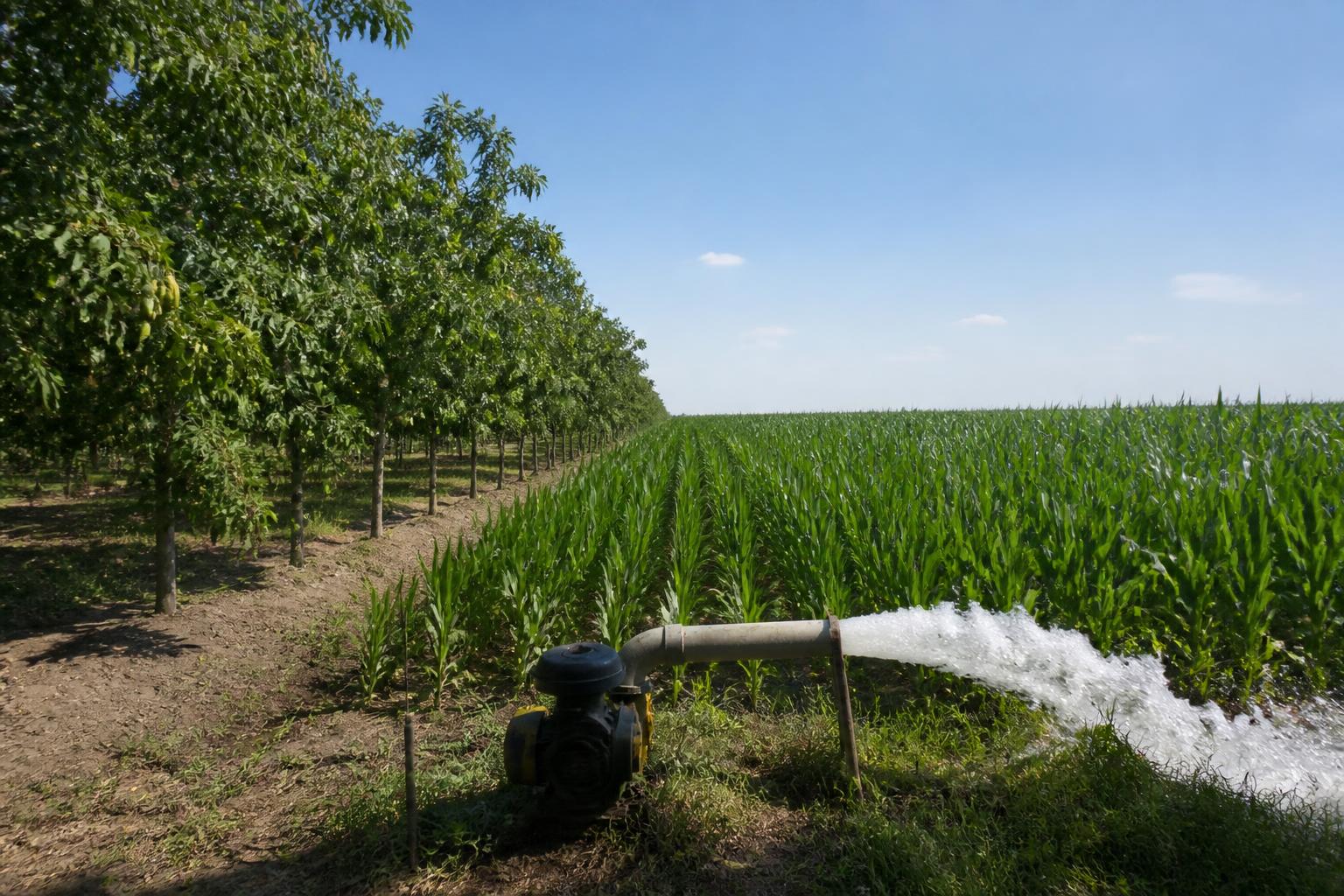 New Mexico Fertilizer Market Eyes Stability Amid Seasonal Shift - AgroPost