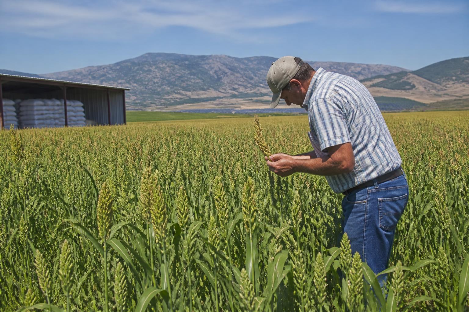 Utah Producers Face Fertilizer Cost Pressures and Strategic Funding Opportunities - AgroPost