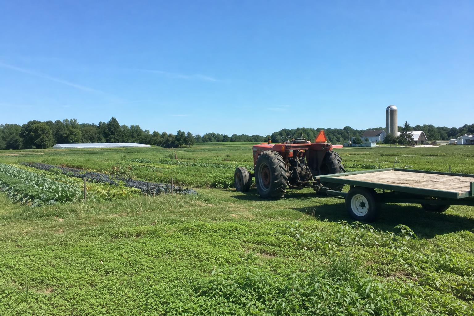 Michigan's Agriculture Market: Summer 2026 Update - AgroPost