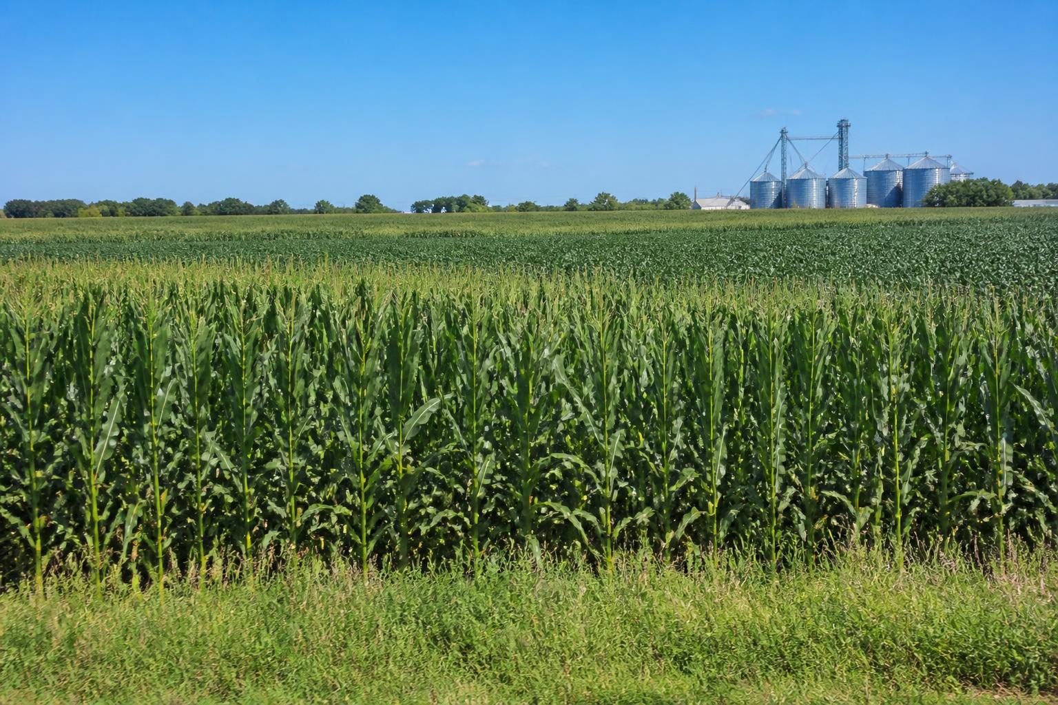 Optimizing Grain Logistics: Infrastructure Upgrades and Strategic Planning in Oklahoma - AgroPost