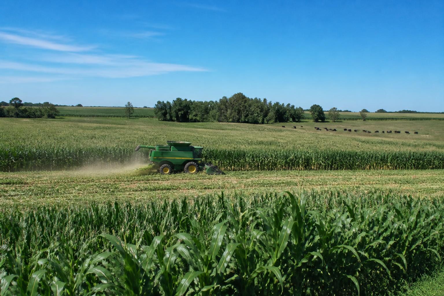 Nebraska Fertilizer Market Update: Navigating Volatility and Supply Shifts - AgroPost
