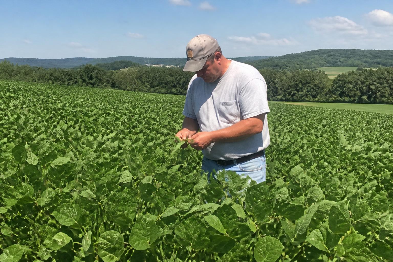 New York Ag Producers Look to Tariff Relief Amidst Input Cost Volatility - AgroPost