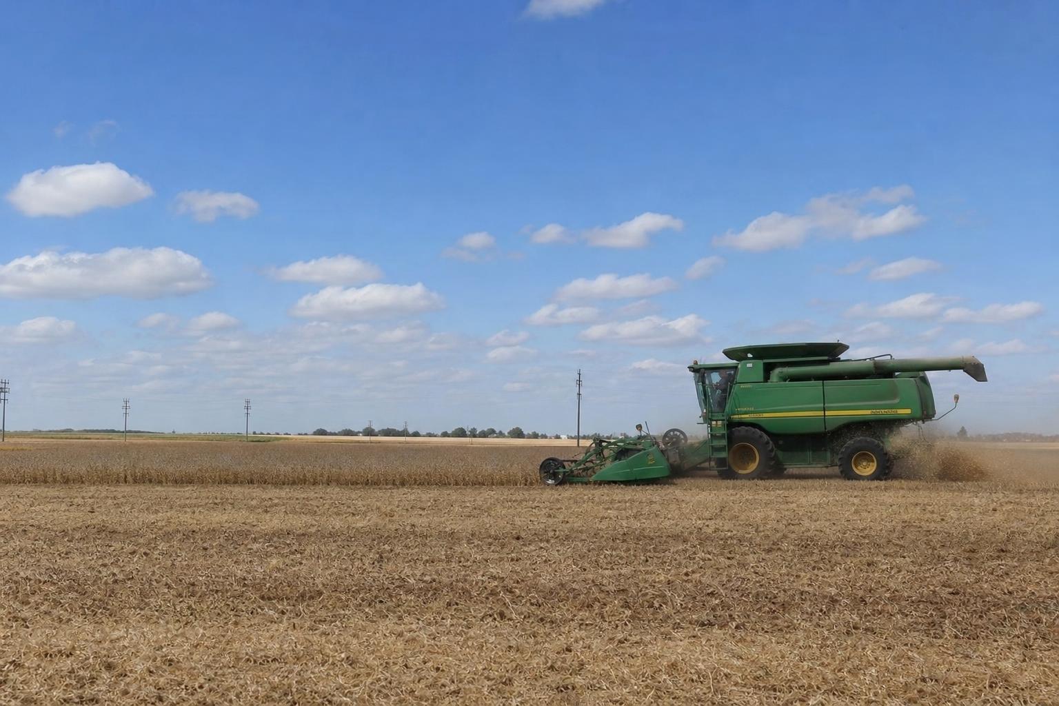 Grain Market Shifts in Kansas: Summer Updates and Opportunities - AgroPost
