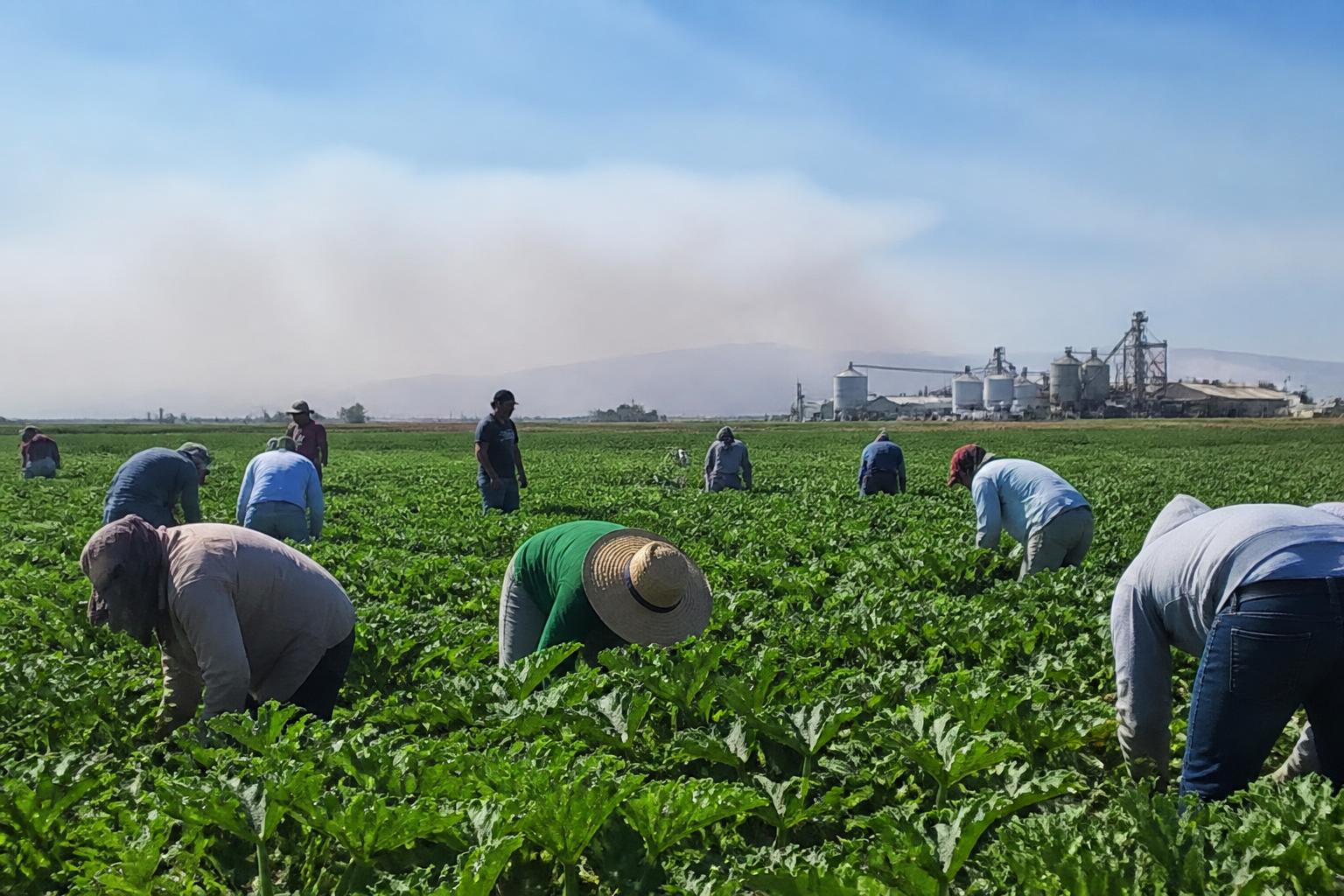 Washington Growers Navigate Fertilizer Logistics and Input Security - AgroPost