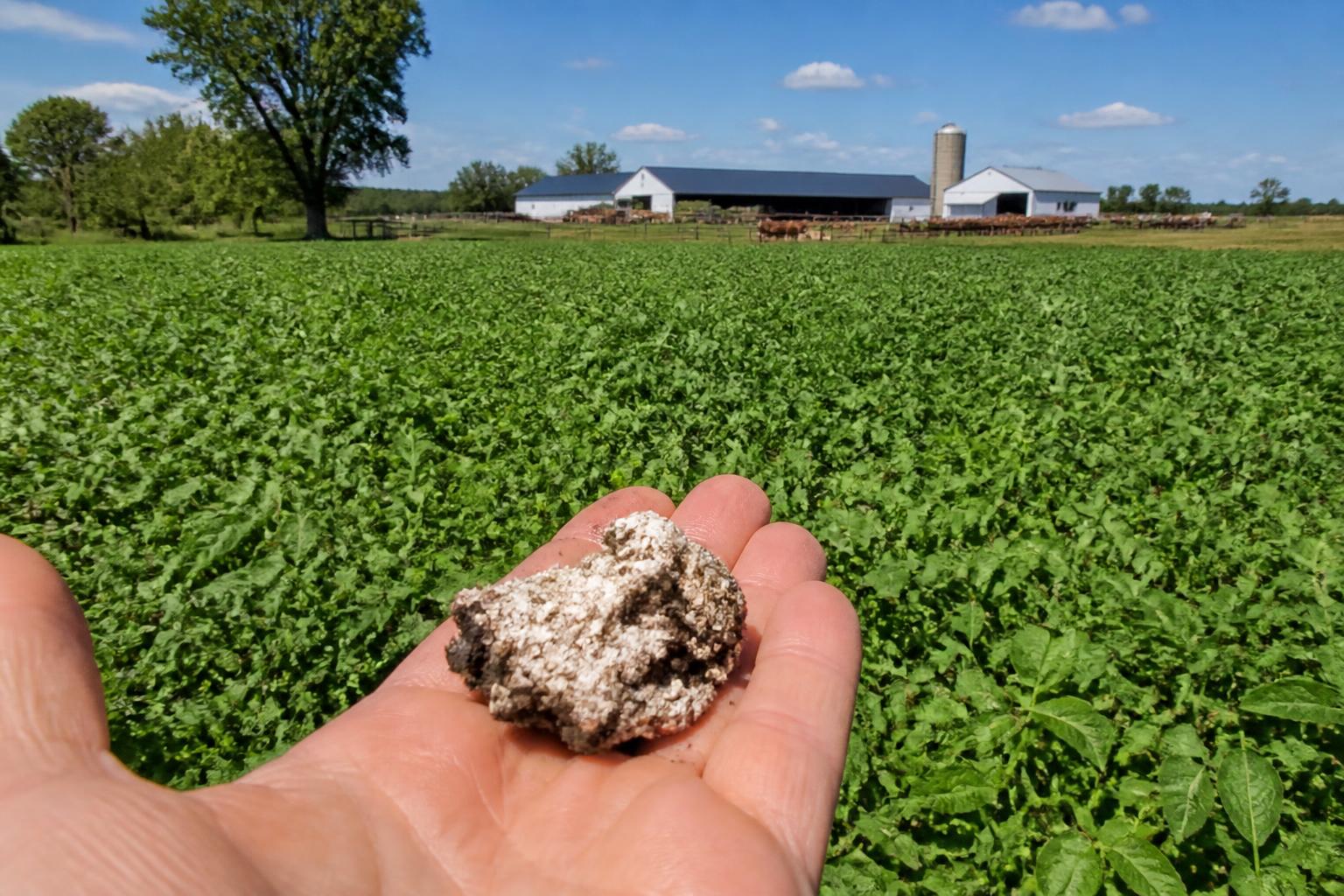 Indiana Soil Health Strategies: Balancing Fertilizer Needs with Cover Crop Adoption - AgroPost