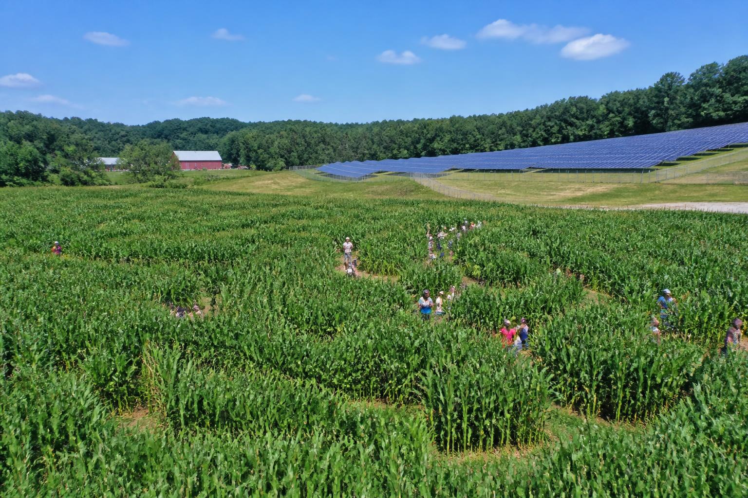 Massachusetts Ag Outlook: Managing Summer Field Resilience and Policy Headwinds - AgroPost