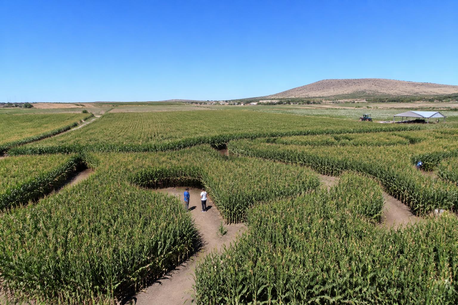 Nevada Producers Face Mid-Summer Operational Hurdles - AgroPost