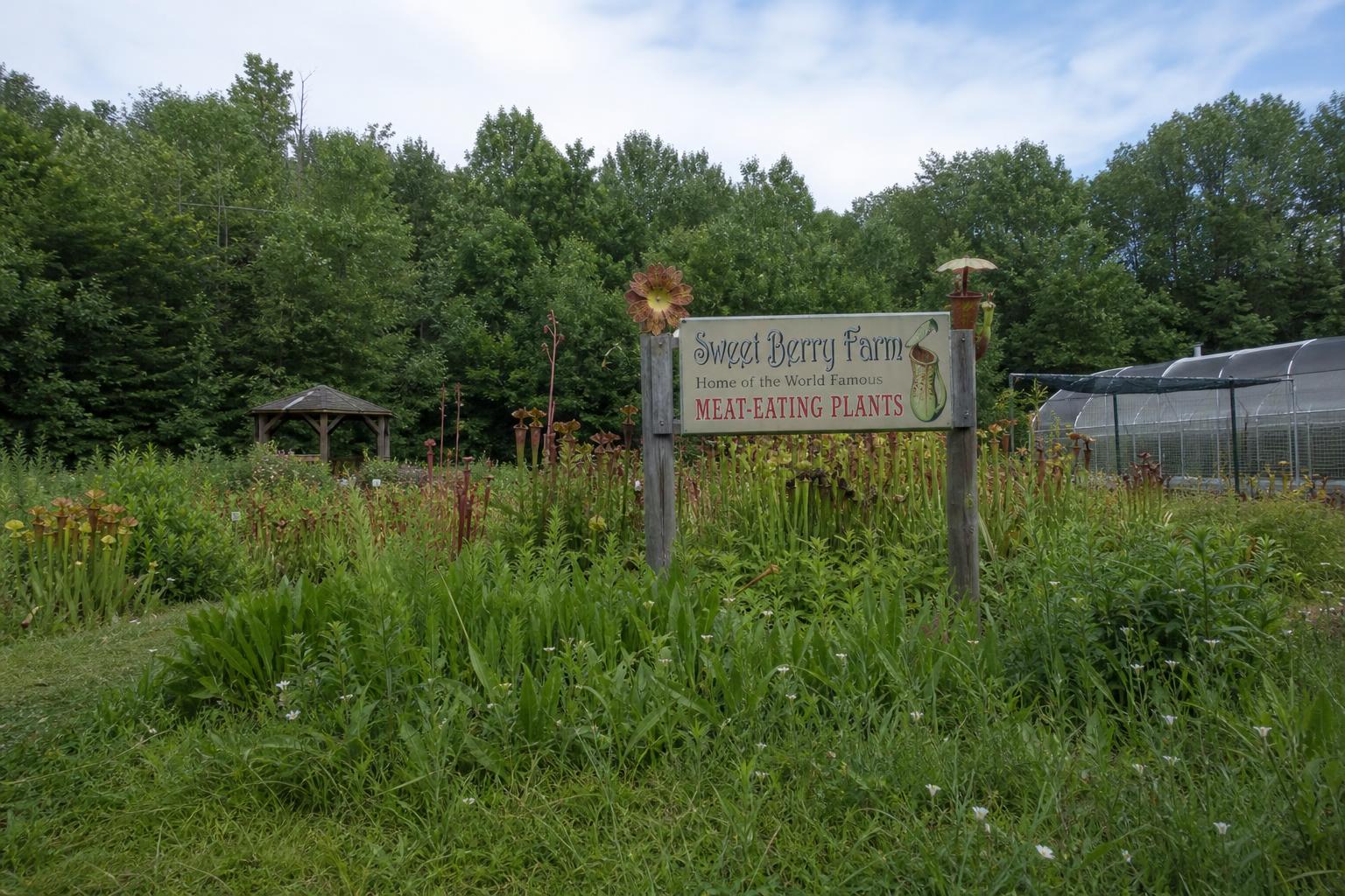Rhode Island Summer Produce Transport: Managing Coastal Traffic and Farm Logistics - AgroPost