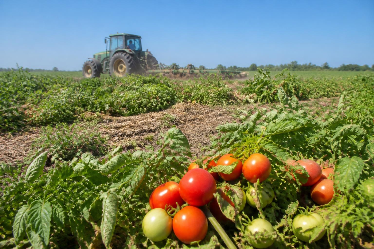 Florida Growers Face Input Cost Headwinds and Evolving Crop Protection Landscape - AgroPost