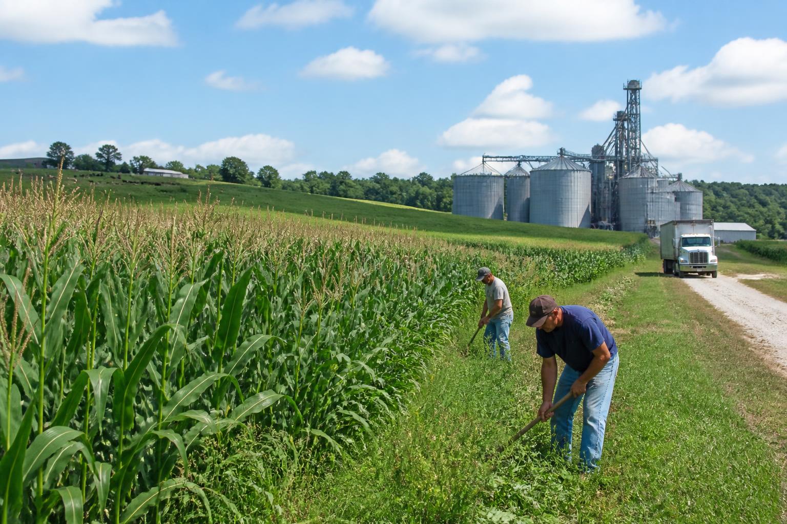 South Dakota Logistics Update: Infrastructure Investment and Supply Chain Efficiency