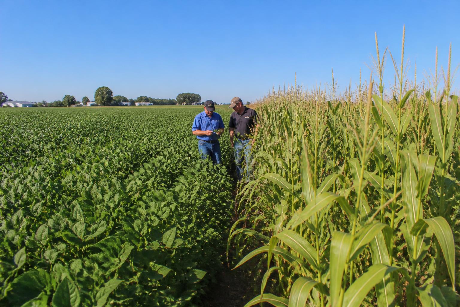 Alabama Grain Market Update: Global Volatility and Upcoming Industry Planning