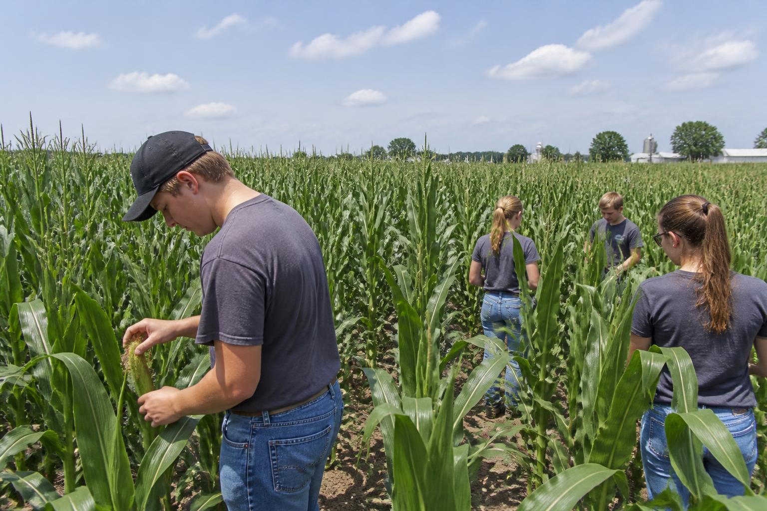 Iowa Mid-Summer Logistics and Fertilizer Outlook: Keeping Freight Moving