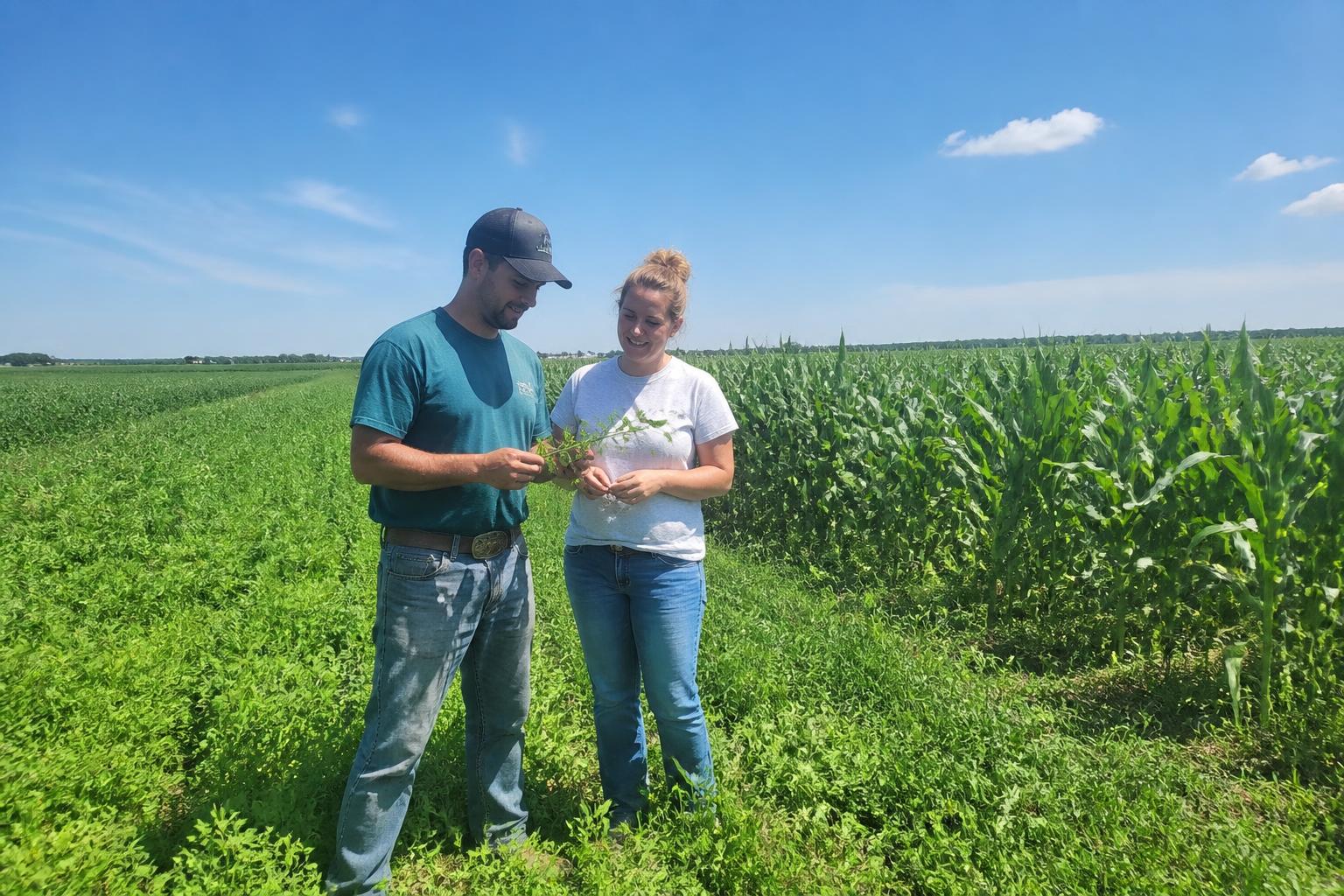 Indiana Agribusiness: Navigating Operational Shifts and Crop Protection Standards