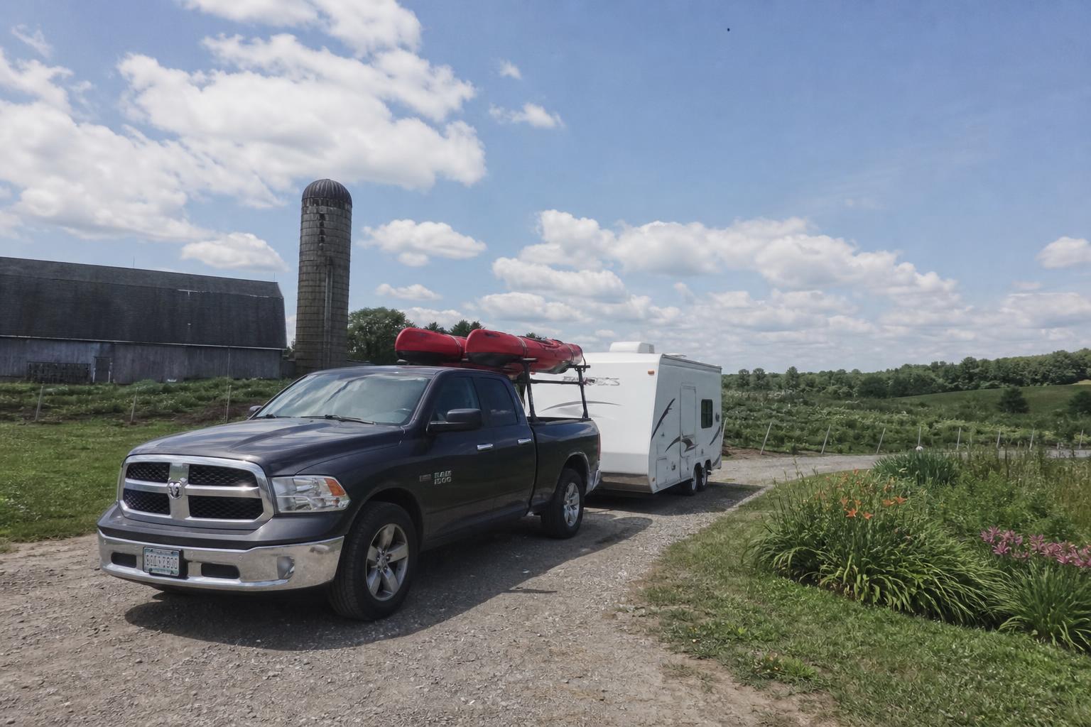 Louisiana Crop Protection: Adapting Weed Control in the Post-Dicamba Era - AgroPost