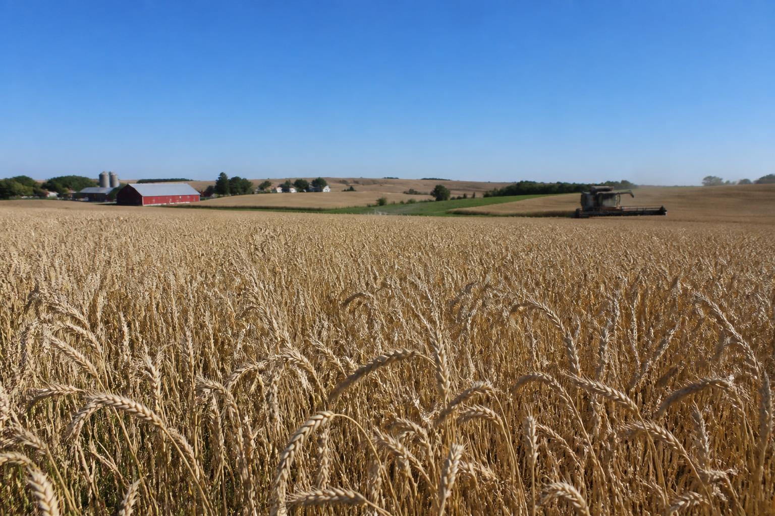 Nebraska Field Management: Evaluating Crop Health Amid Season Pressures - AgroPost