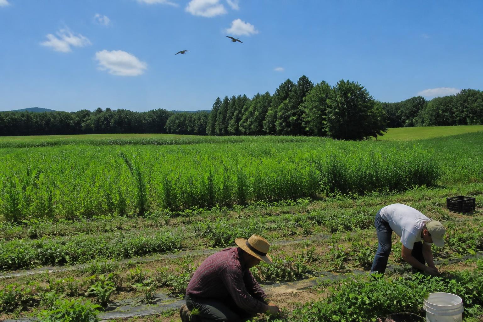 Navigating Mid-Atlantic Environmental Risks: A Delaware Outlook