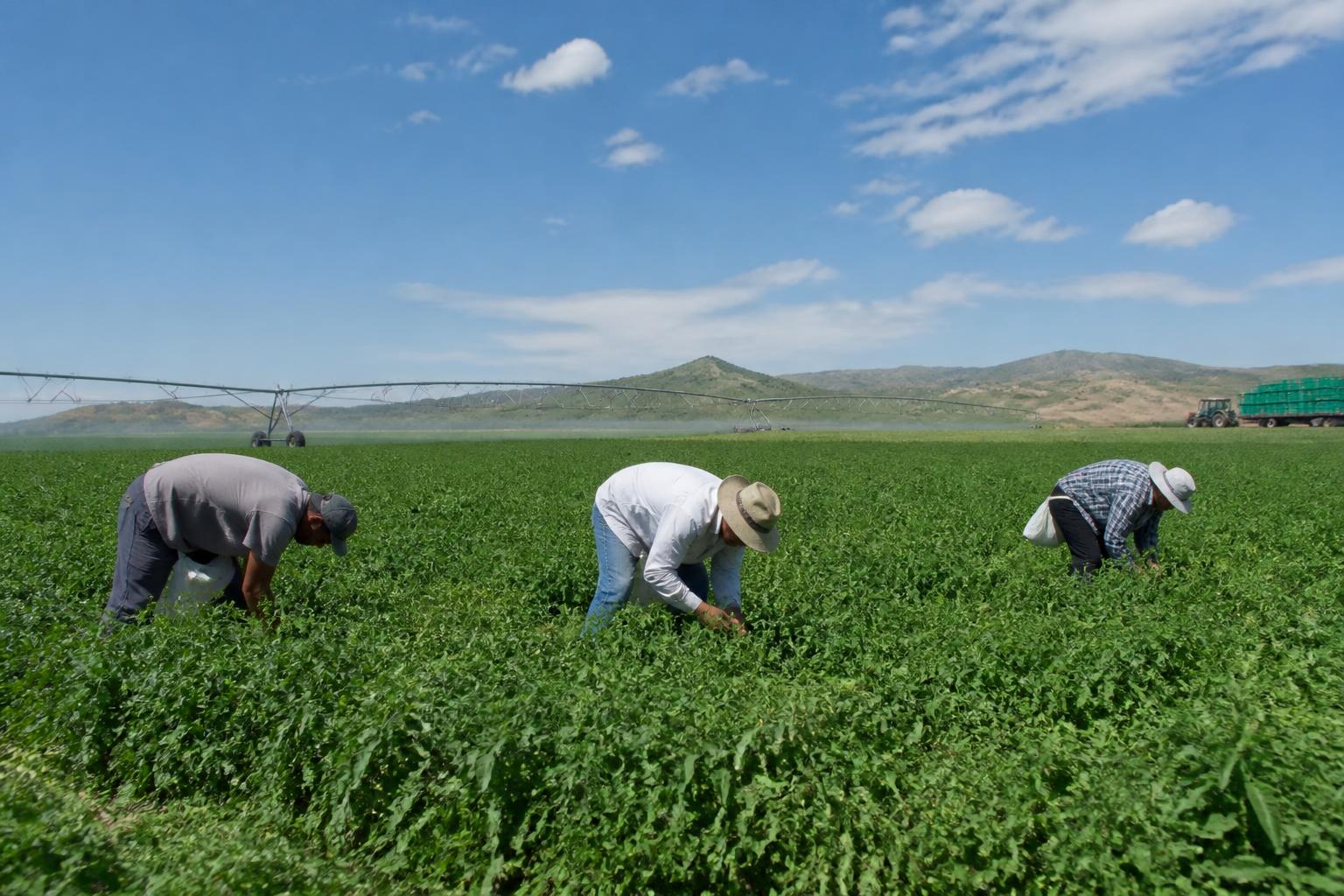 Moisture Trends and Crop Protection Strategies in South Dakota