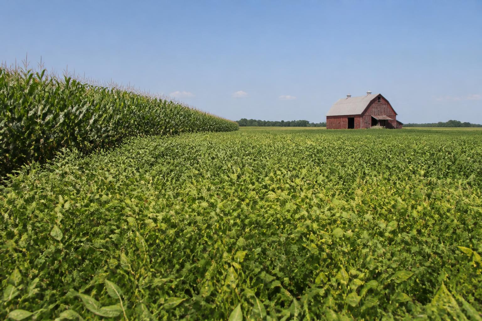 Illinois Ag Transport Update: Managing Late-Summer Logistics and Input Volatility