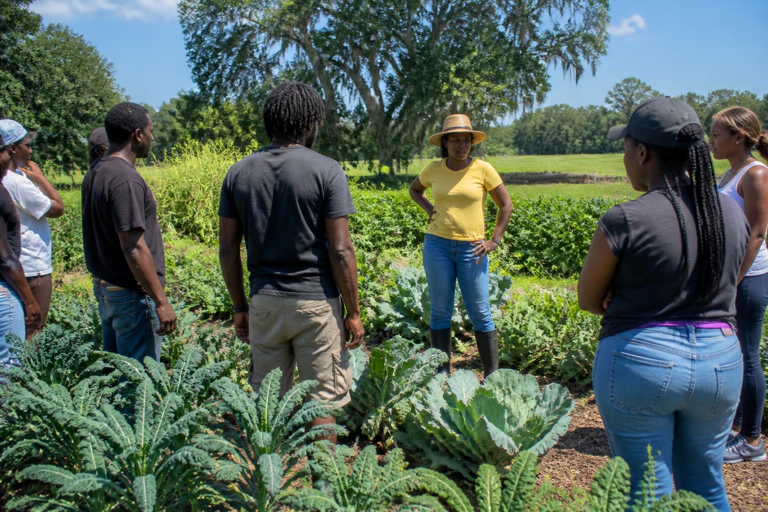 Optimizing Field Resiliency and Logistics During the South Carolina Summer
