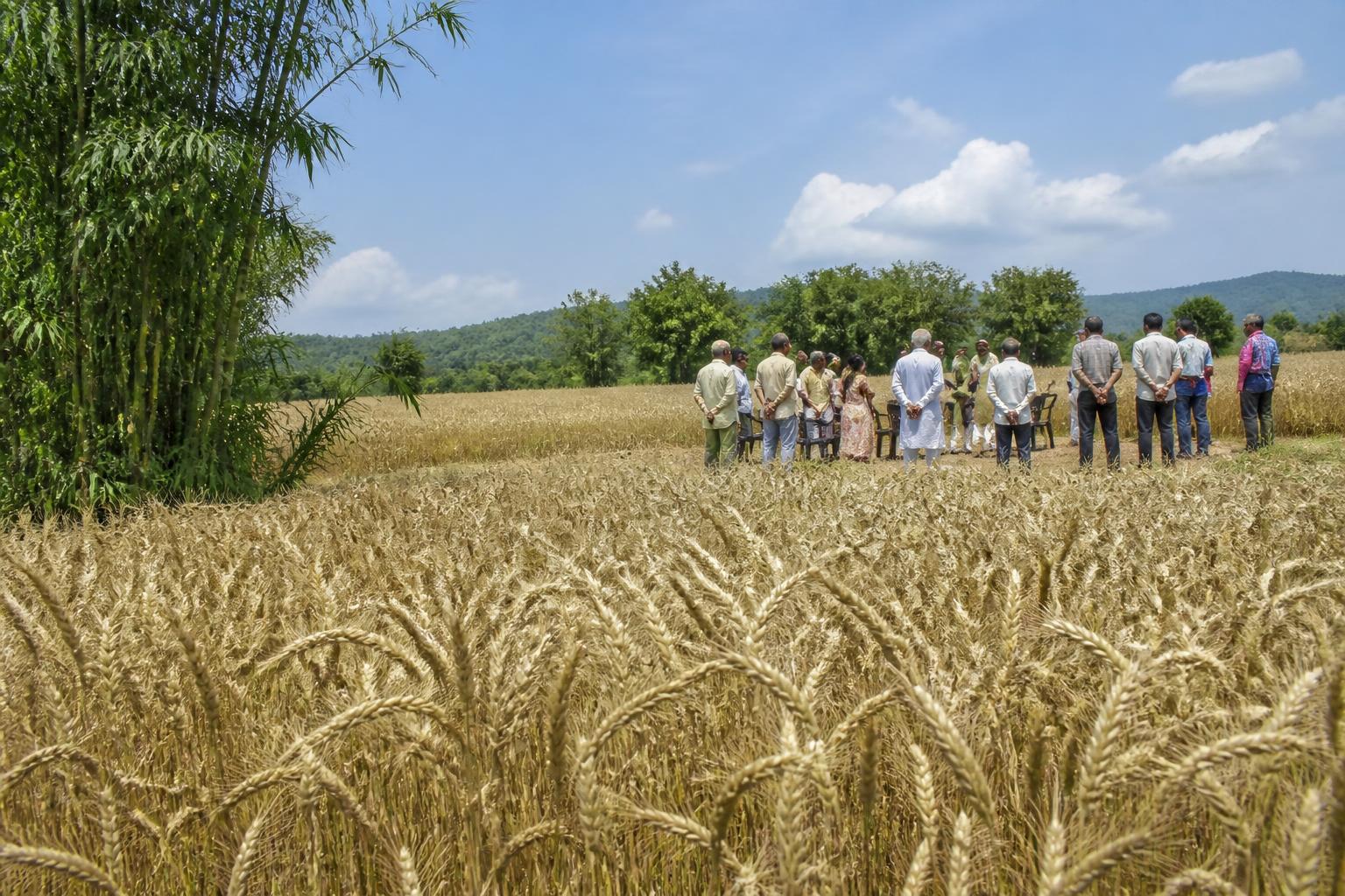 Alabama Grain Market Update: Summer Operational Challenges and Industry Outlook - AgroPost