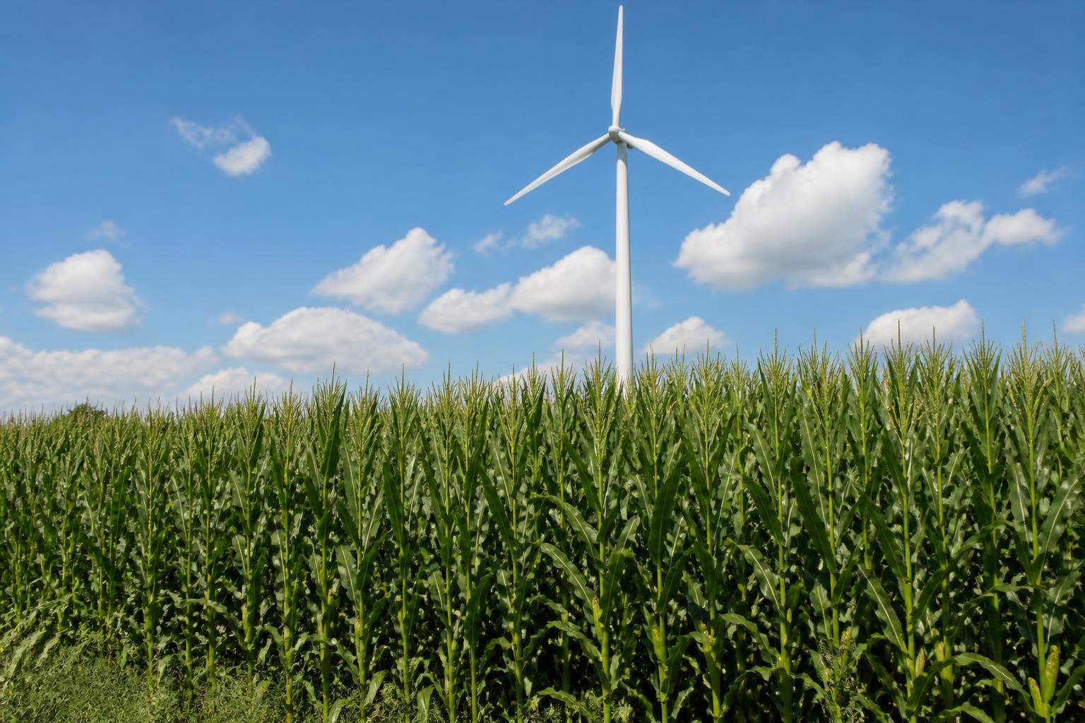 Wyoming Infrastructure and Innovation: Reshaping Grain and Carbon Logistics