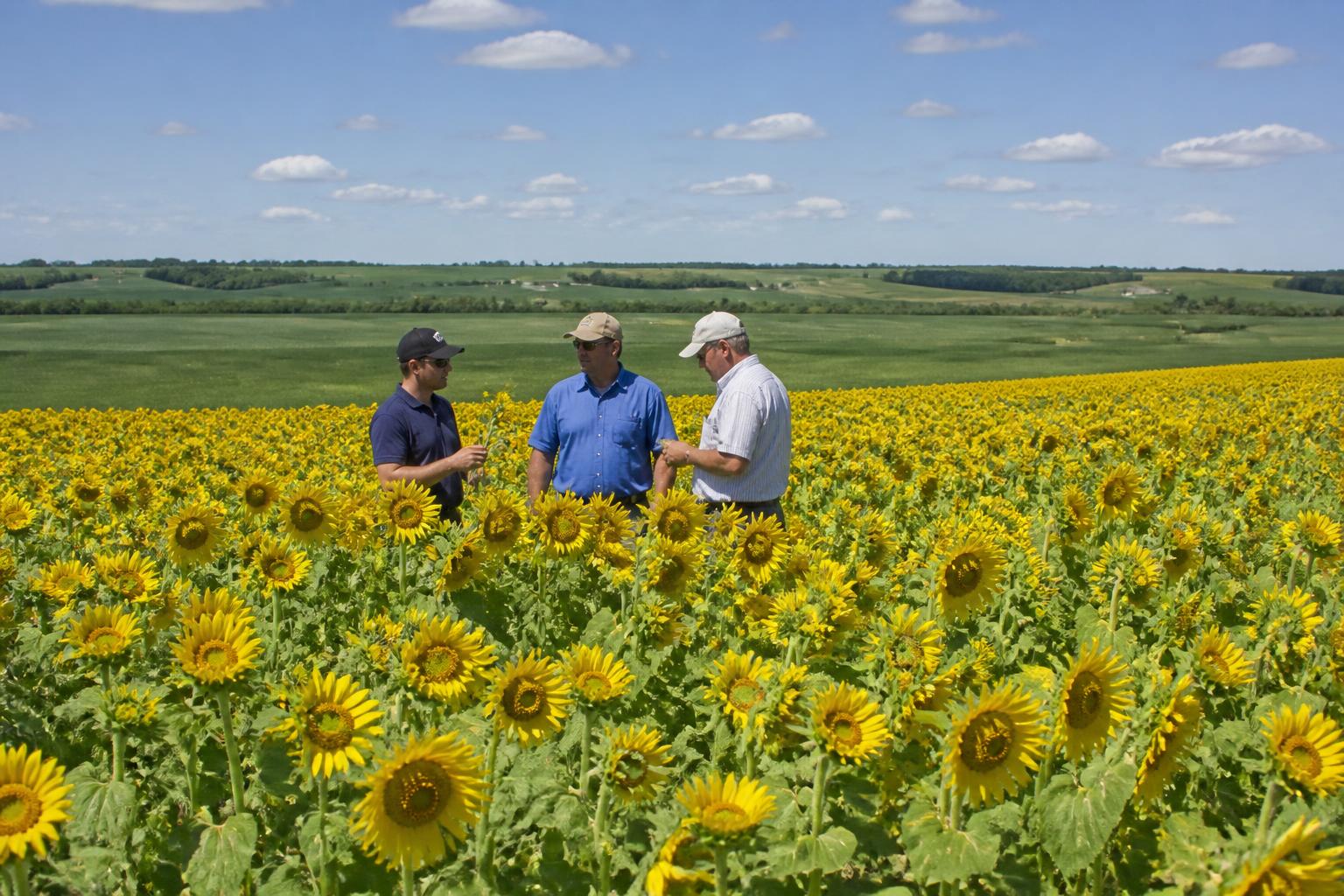 North Carolina Agribusiness Outlook: Assessing Mid-Summer Operational Resilience - AgroPost