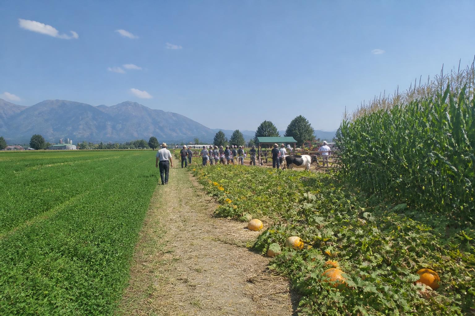 Utah Agriculture Navigates Water Constraints and Shifting Land Use