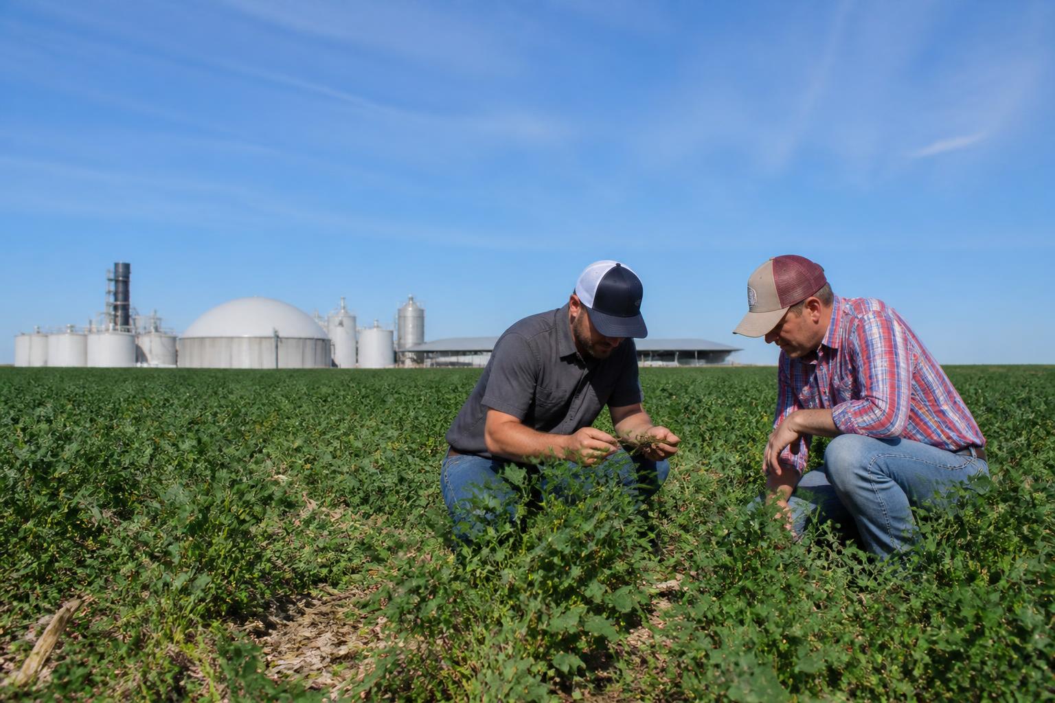 Idaho Agricultural Market Update: Balancing Regulatory Shifts and Infrastructure Growth - AgroPost
