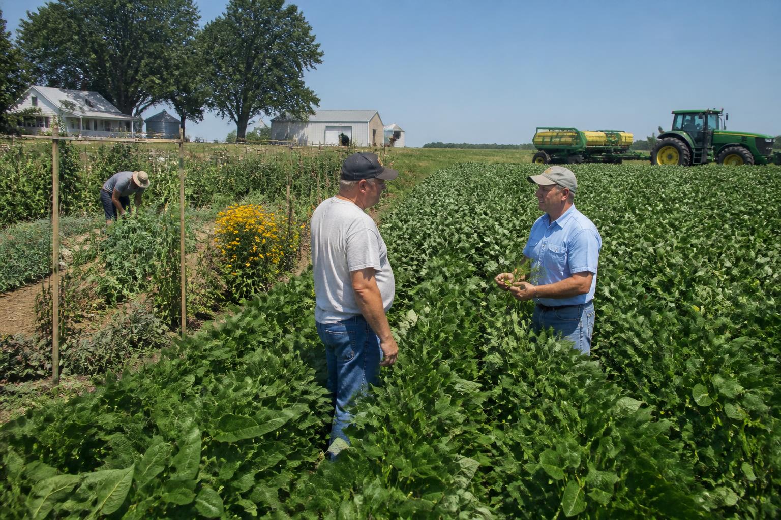 Navigating Michigan Ag Logistics: Balancing Seasonal Fuel Costs and Operational Efficiency - AgroPost